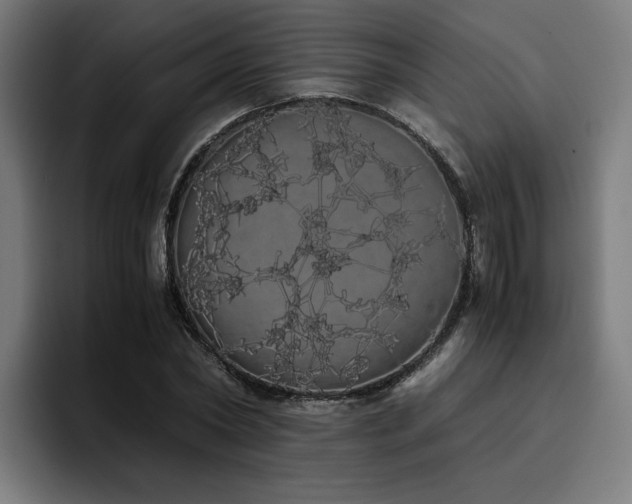 X0000093410782200710121116