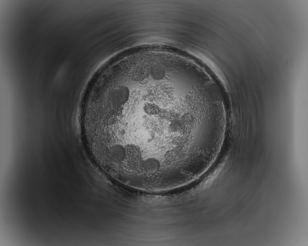 X0000093410783200710121116