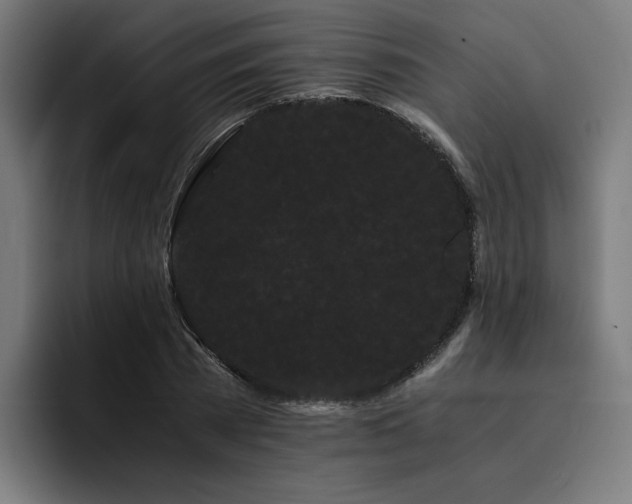 X0000093410785200710121116