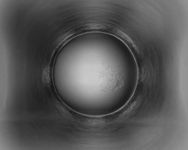 X0000093410786200710121116