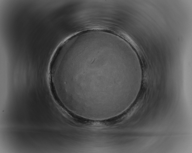 X0000093410787200710121116