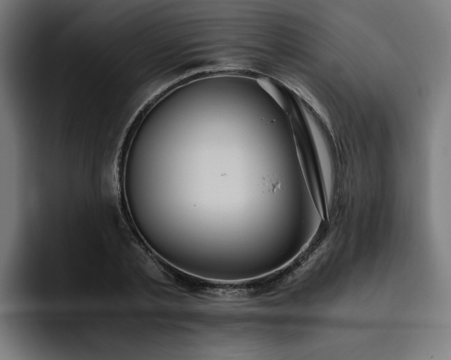 X0000093410789200710121116