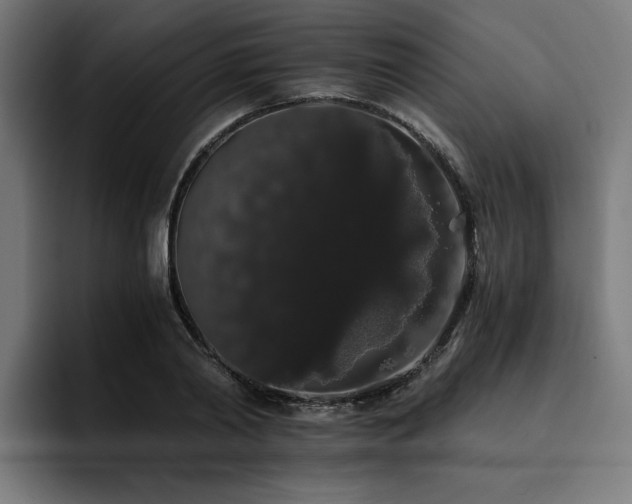 X0000093410790200710121116