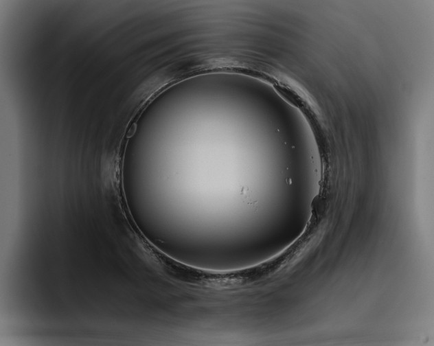 X0000093410793200710121116