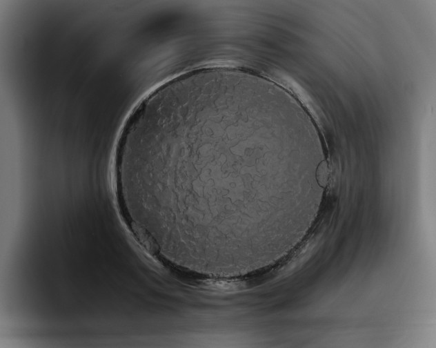 X0000093410795200710121116