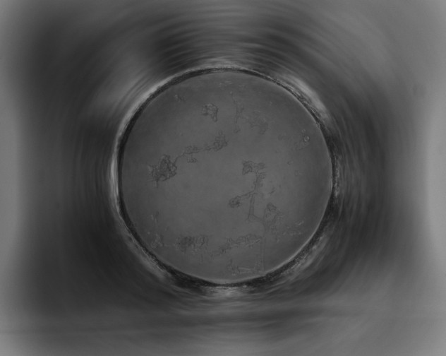 X0000093410796200710121116