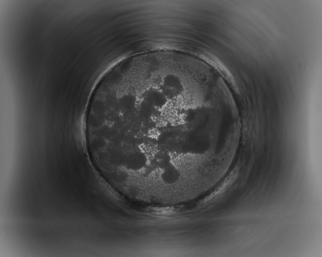 X0000093410798200710121116