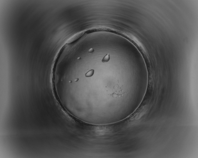 X0000093410799200710121116