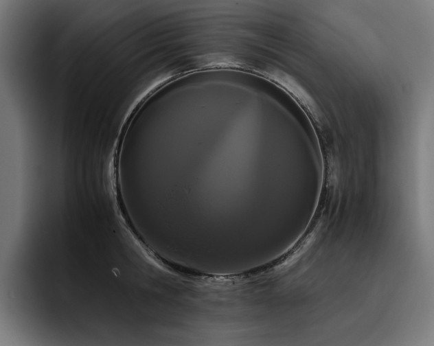 X0000093410806200710121116