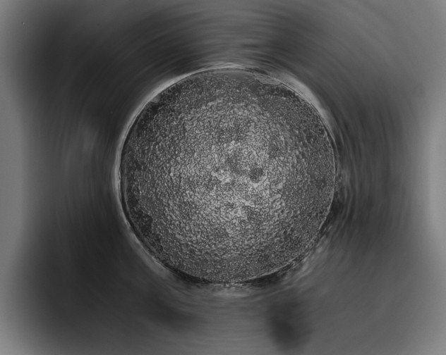 X0000093410811200710121116