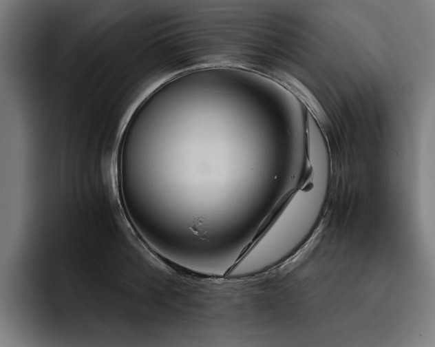 X0000093410812200710121116