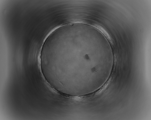 X0000093410814200710121116