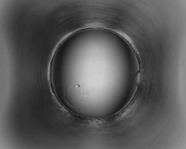 X0000093410815200710121116