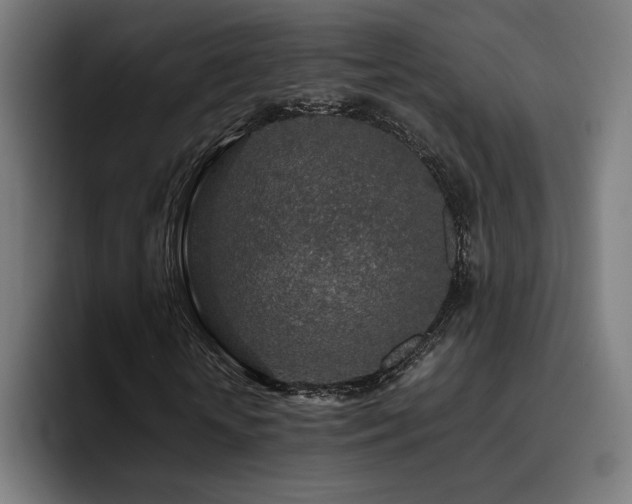 X0000093410818200710121115