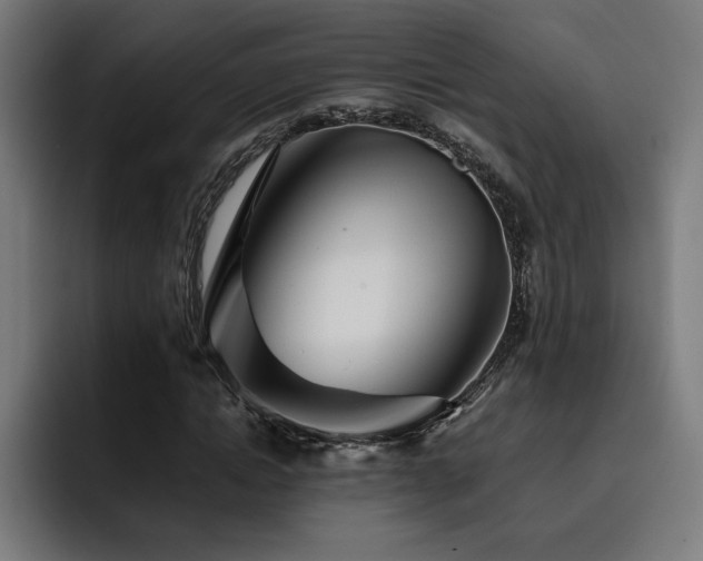X0000093410822200710121115