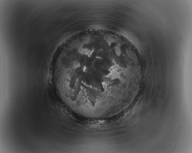 X0000093410823200710121115