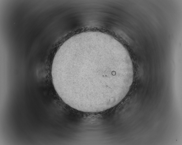 X0000093410824200710121115