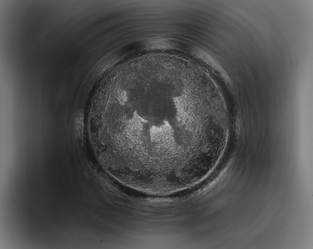 X0000093410825200710121115