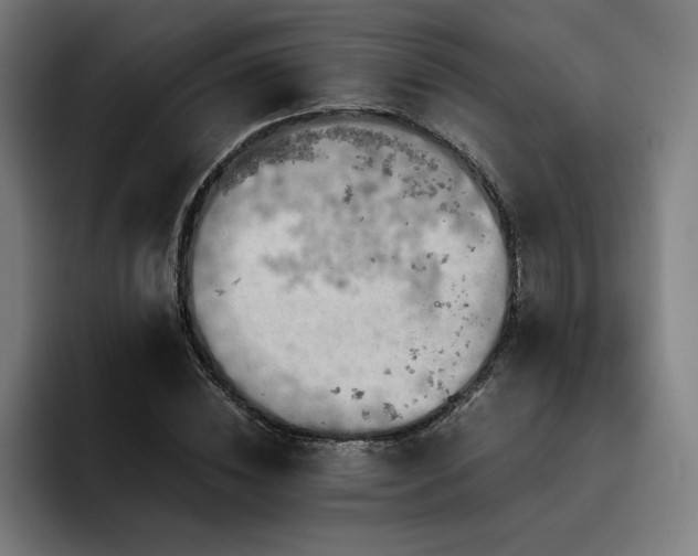 X0000093410828200710121115