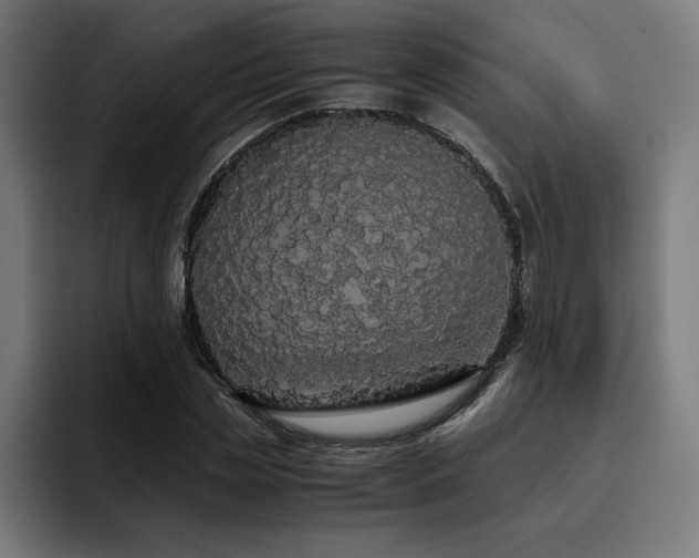X0000093410829200710121115
