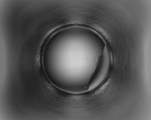 X0000093410830200710121115