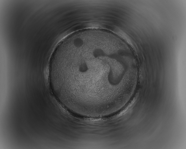 X0000093410831200710121115