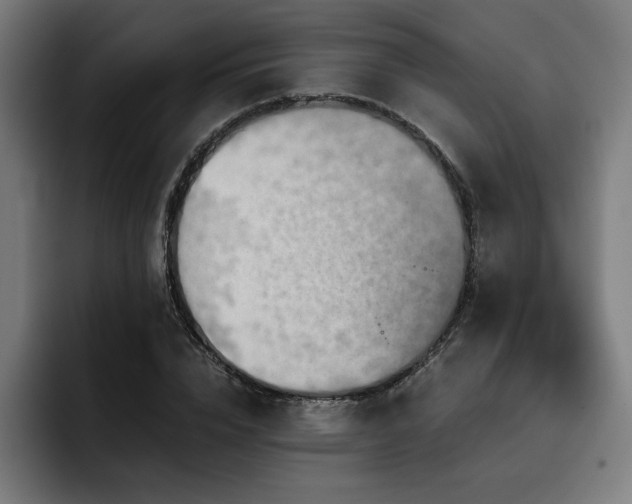 X0000093410832200710121115