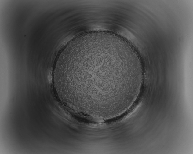 X0000093410833200710121115