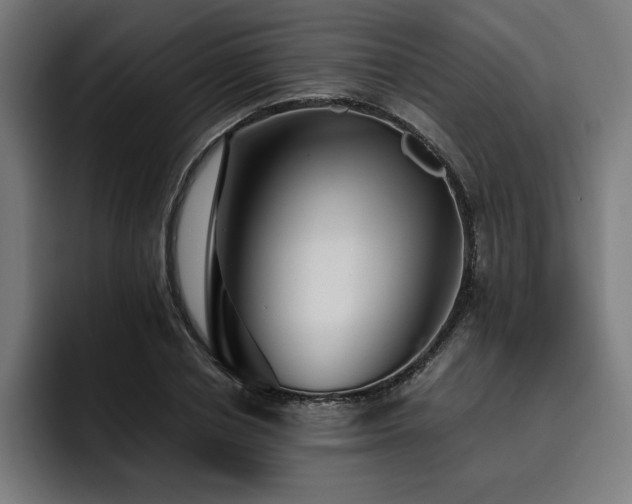 X0000093410834200710121115
