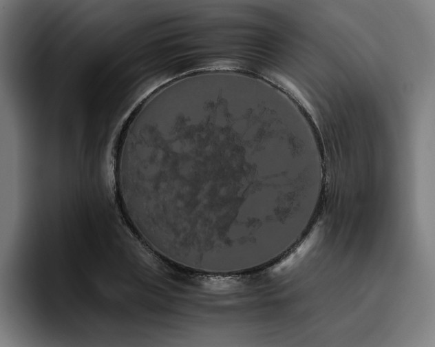 X0000093410835200710121115