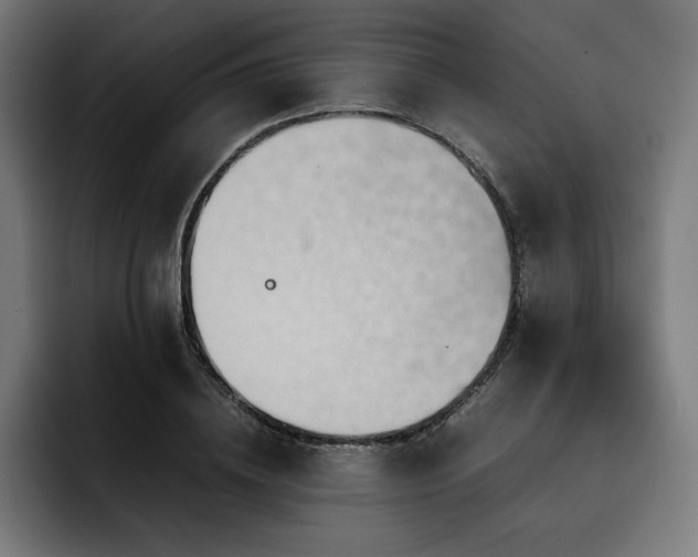 X0000093410836200710121115