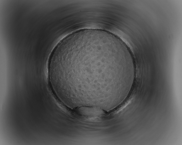 X0000093410837200710121115