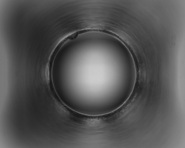 X0000093410838200710121115