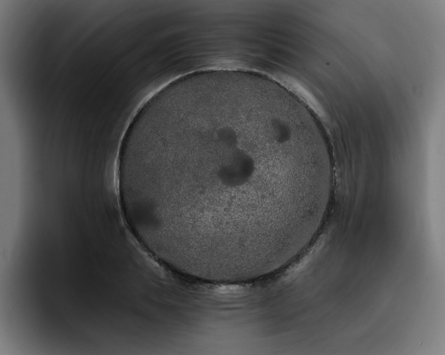 X0000093410839200710121115