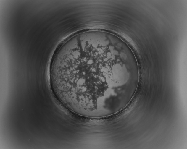 X0000093410840200710121115