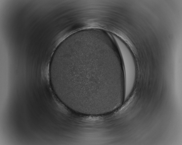 X0000093410842200710121116