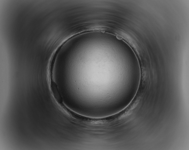 X0000093410843200710121116
