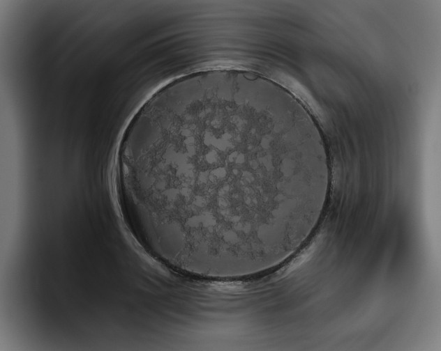 X0000093410844200710121116