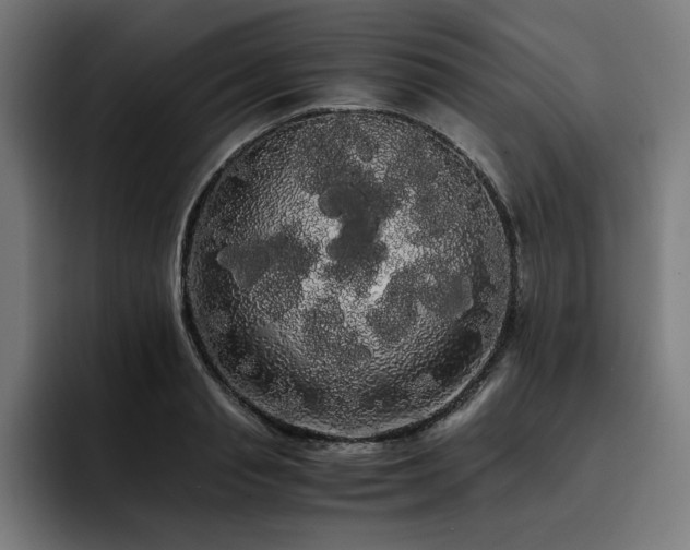 X0000093410845200710121116