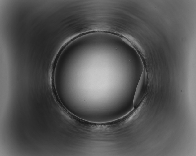 X0000093410846200710121116