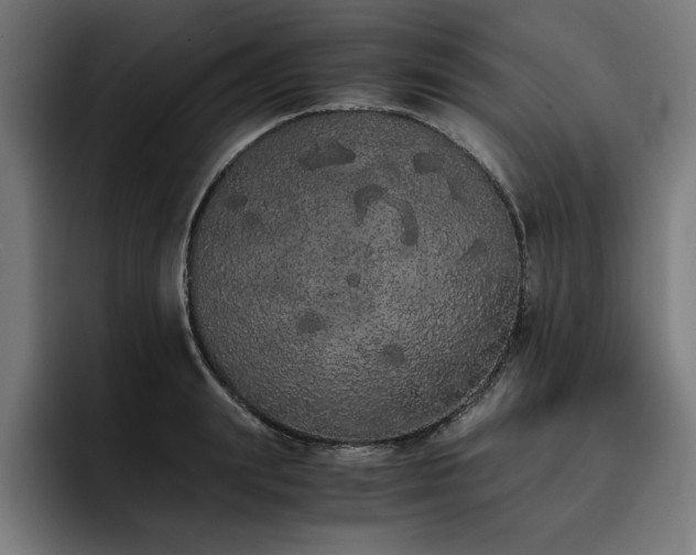 X0000093410847200710121116