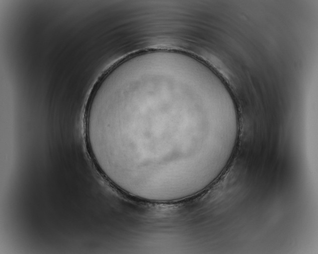 X0000093410848200710121116
