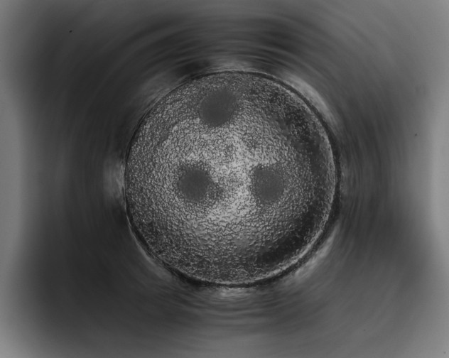 X0000093410849200710121116