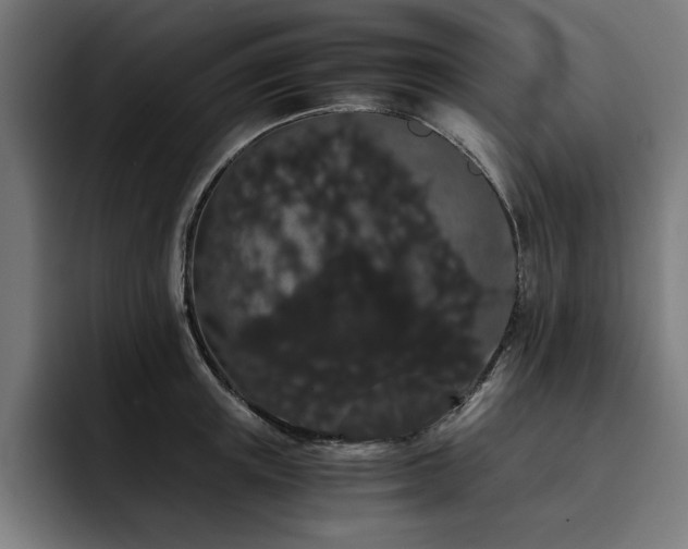 X0000093410851200710121116