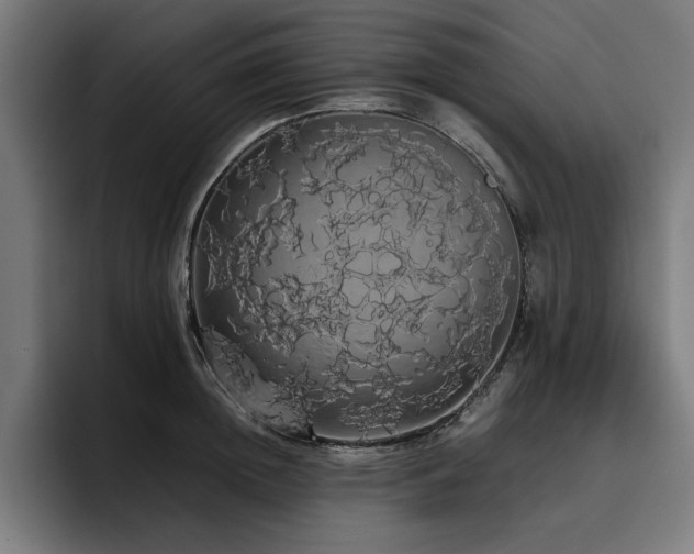 X0000093410852200710121116