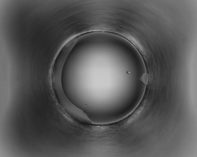 X0000093410854200710121116