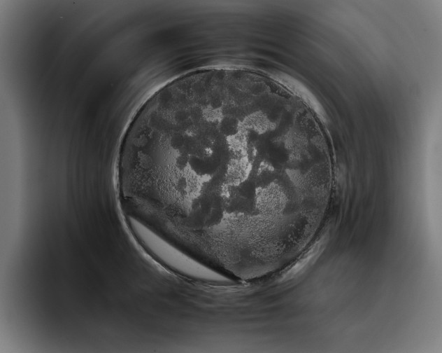 X0000093410855200710121116