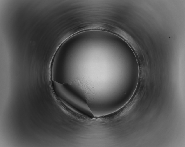 X0000093410858200710121116