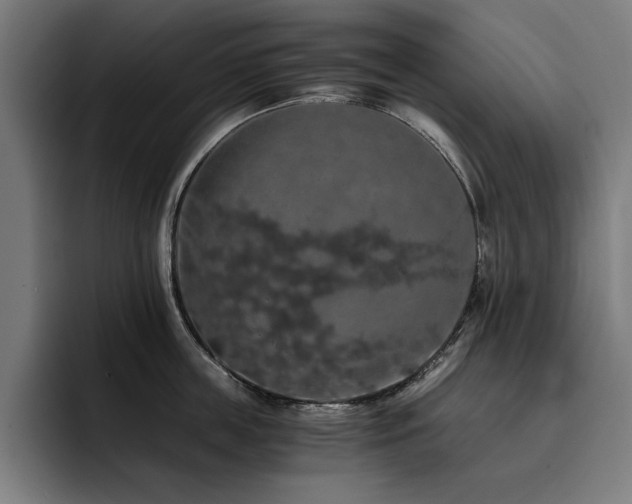 X0000093410859200710121116
