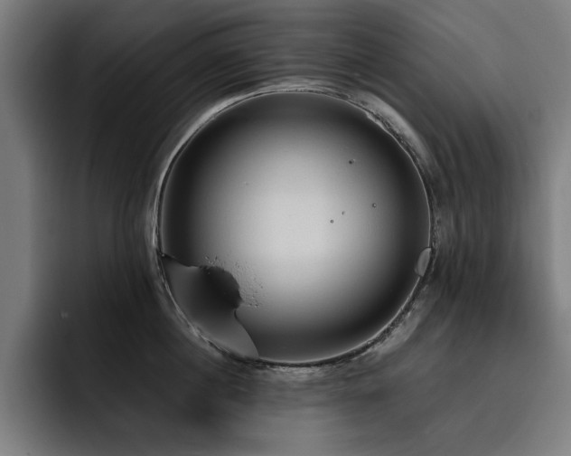 X0000093410860200710121116